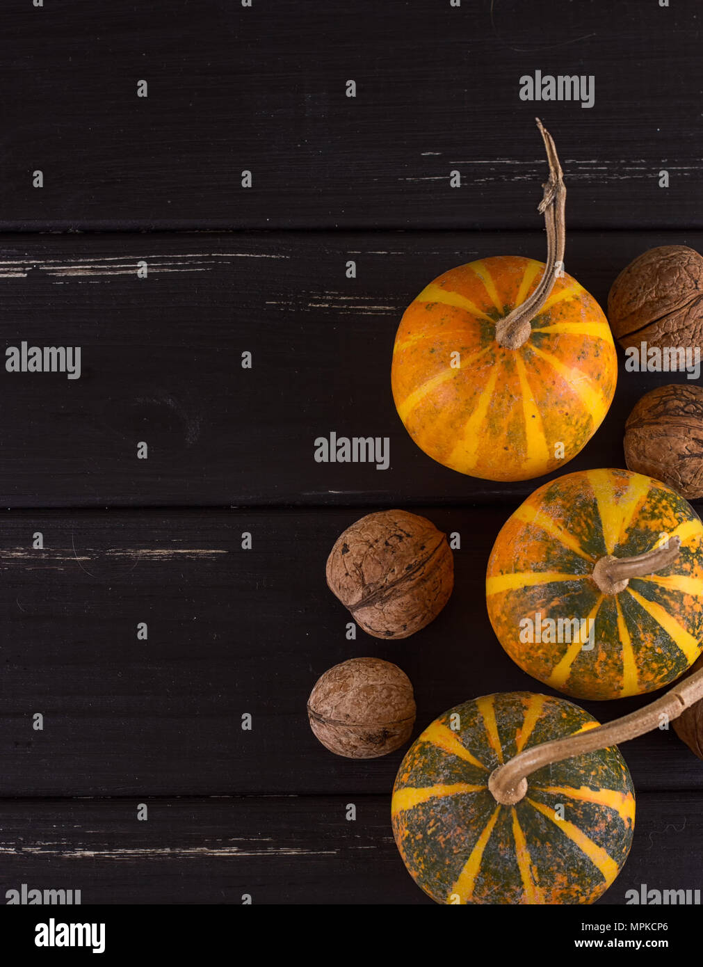 Small pumpkin yellow on the black background. Stock Photo