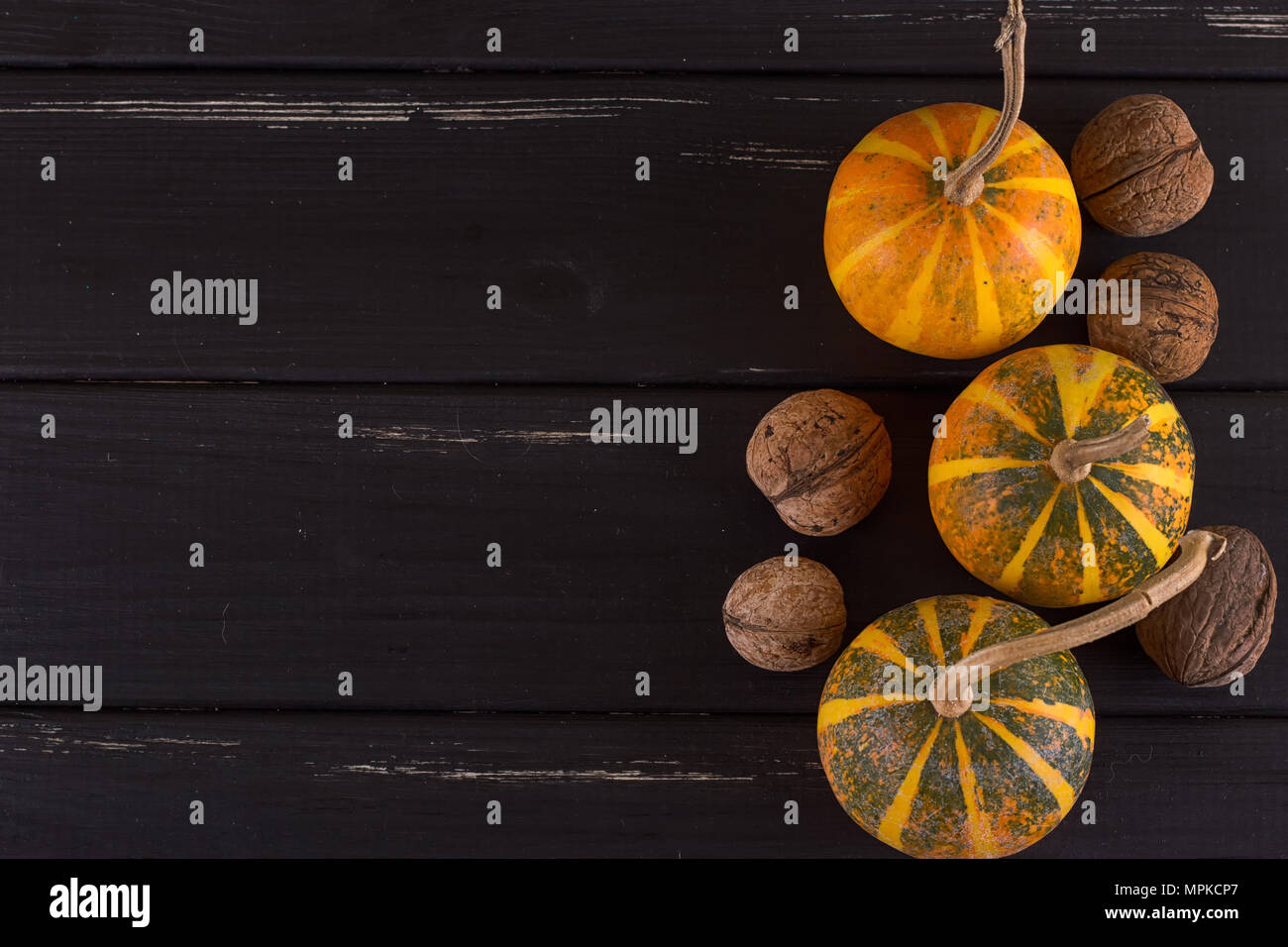 Small pumpkin yellow on the black background. Stock Photo