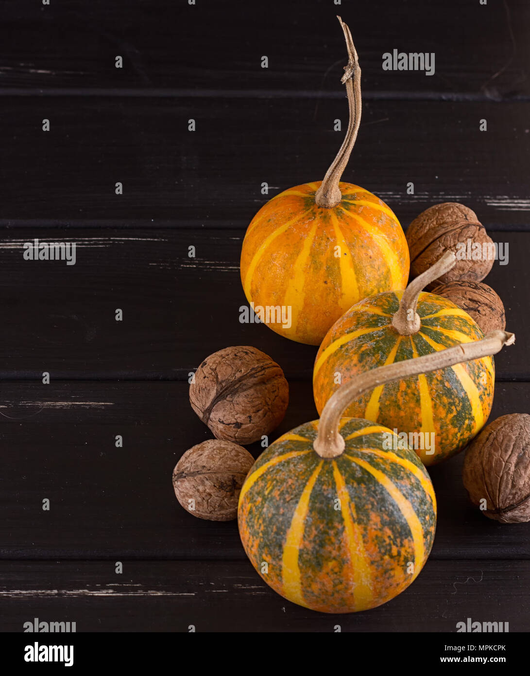Small pumpkin yellow on the black background. Stock Photo
