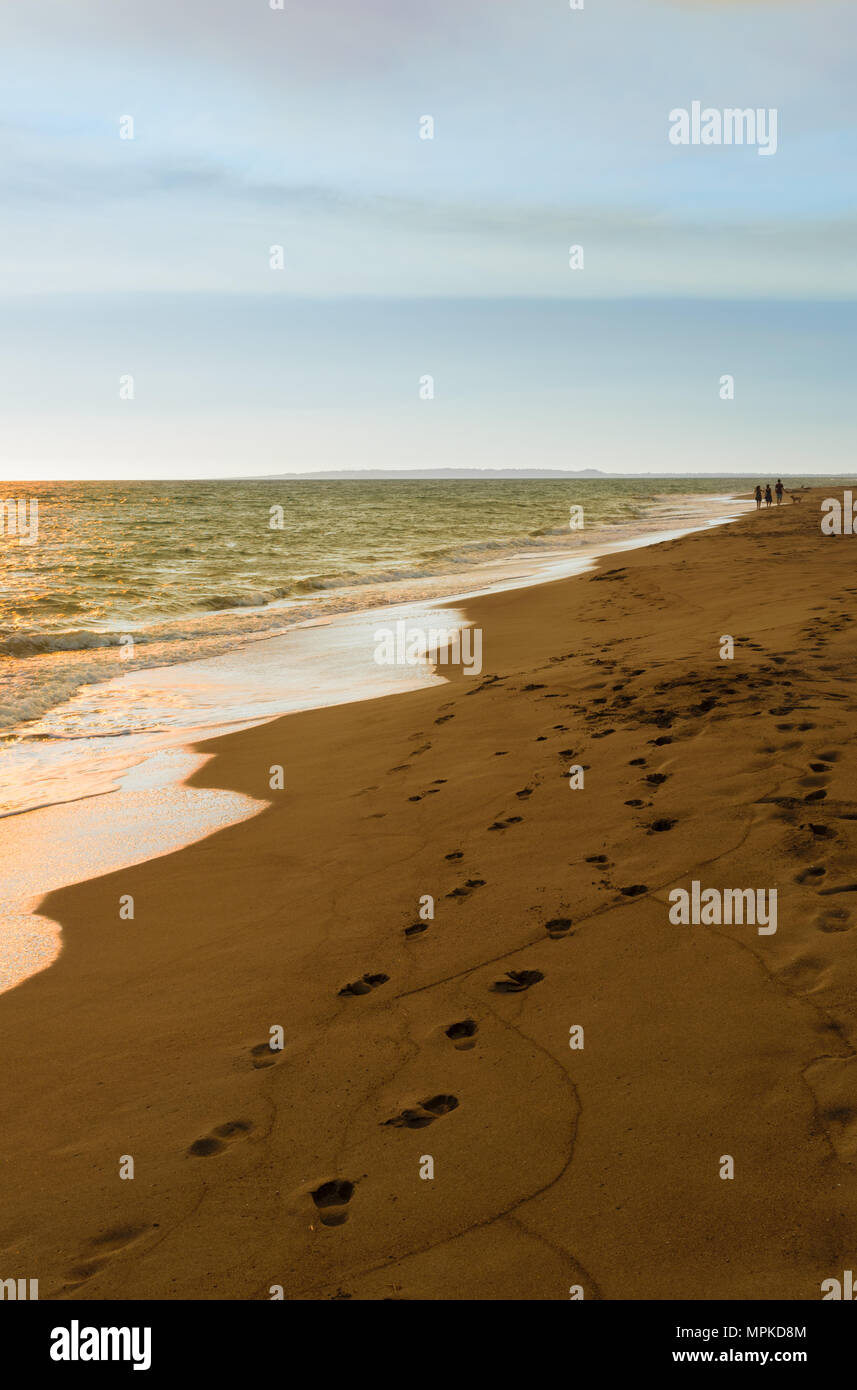 Foot Springing Footpring hi-res stock photography and images - Alamy