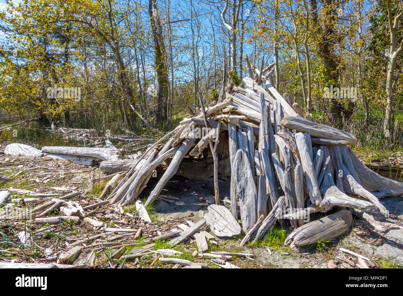 Beach hut built from flotsam timbers - Hornby Island, BC, Canada. Stock Photo