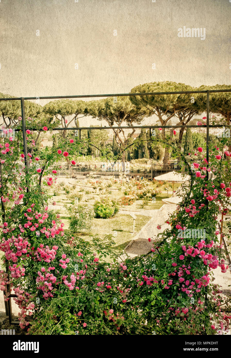 Rome’s municipal rose garden Stock Photo