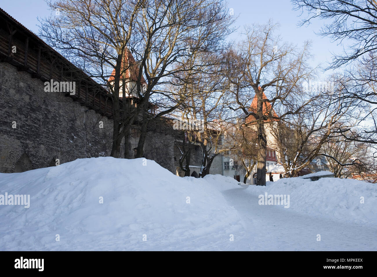 Taani Kuninga Aed: the Danish King's Garden on the slopes of Toompea (Cathedral Hill) with city wall and towers: Tallinn, Estonia Stock Photo