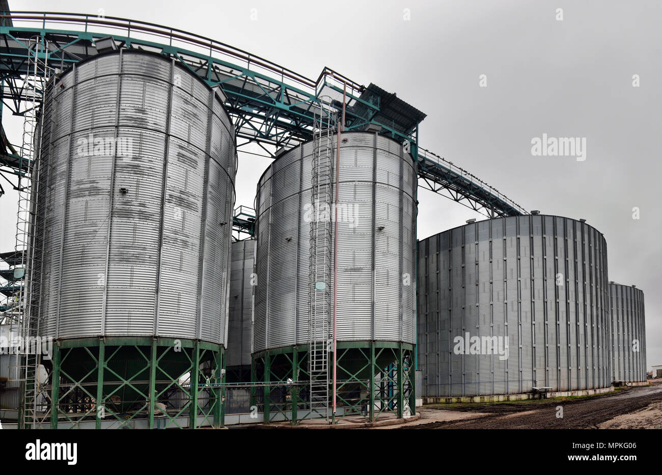 Agricultural Silo - Building Exterior, Storage and drying of grains, wheat, corn, soy, sunflower Stock Photo