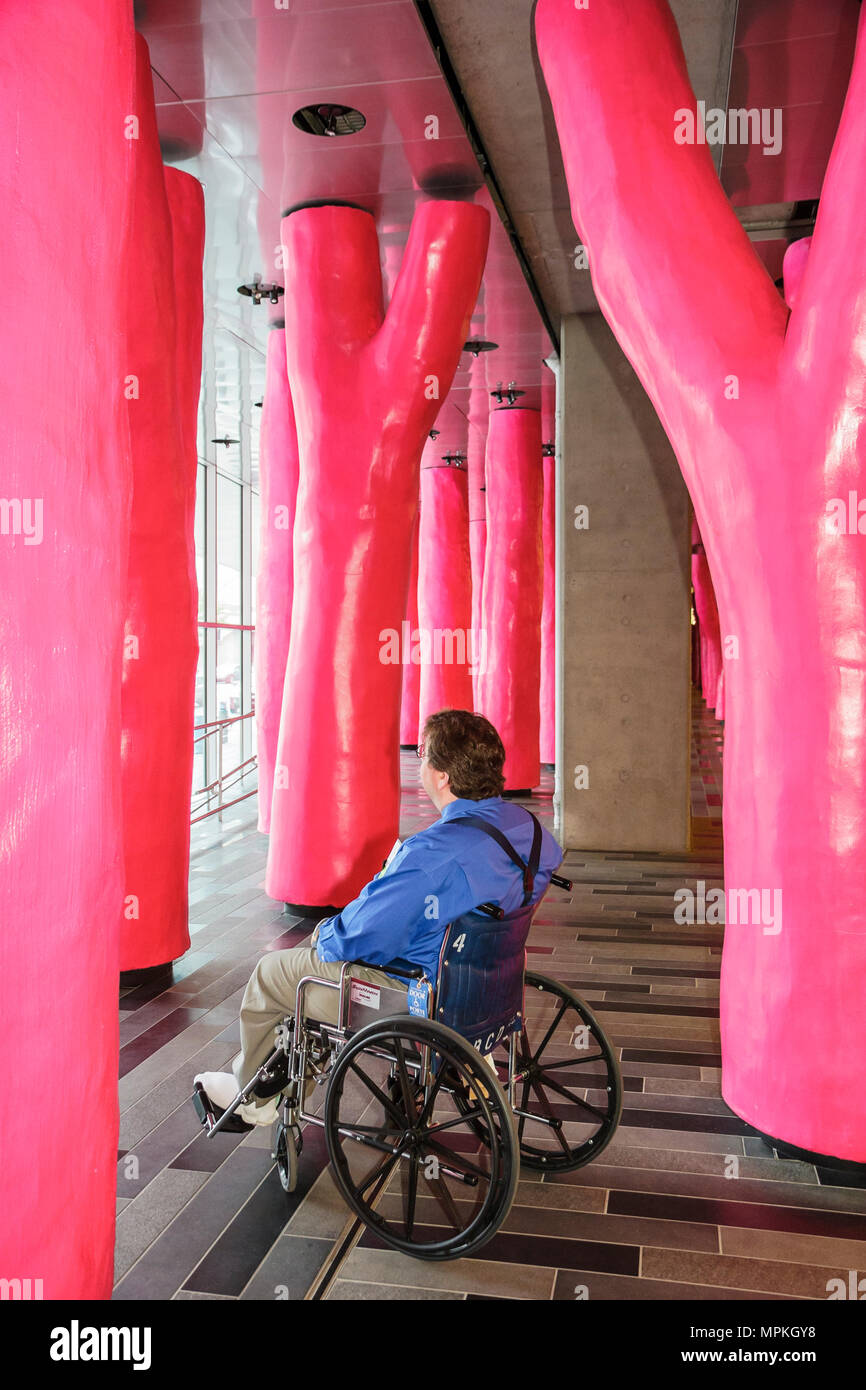 Montreal Canada,Quebec Province,Palais de Congrès,Convention Centre,art,artist,pink tree trunks,structural support,man men male,wheelchair,Canada07070 Stock Photo