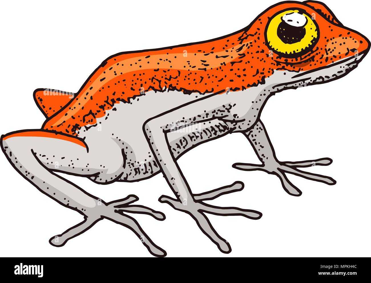 Orange Frog Clipart For Kids