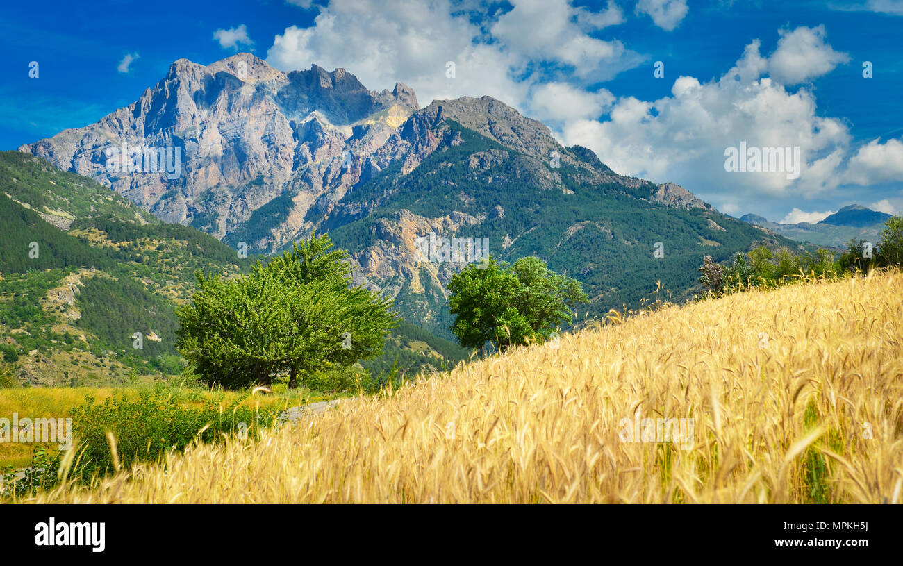 Sunlight france field hi-res stock photography and images - Alamy