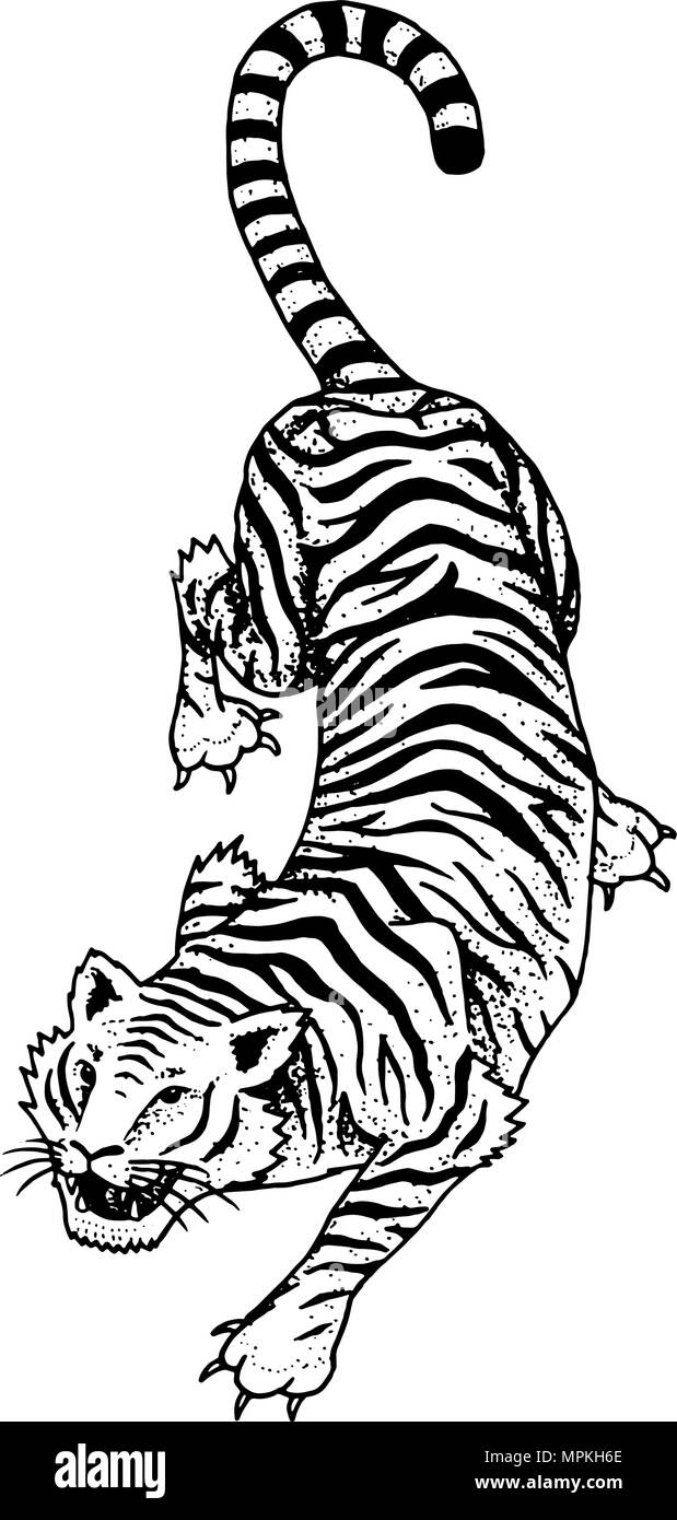 Asian japanese tiger wild animal for tattoo Vector Image