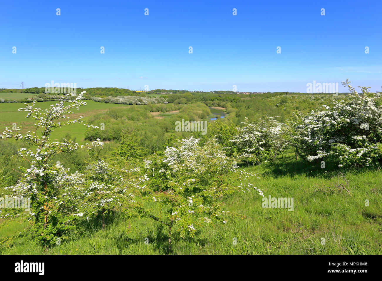 Aire Valley and RSPB reserve Fairburn Ings near Castleford, West Yorkshire, England, UK. Stock Photo