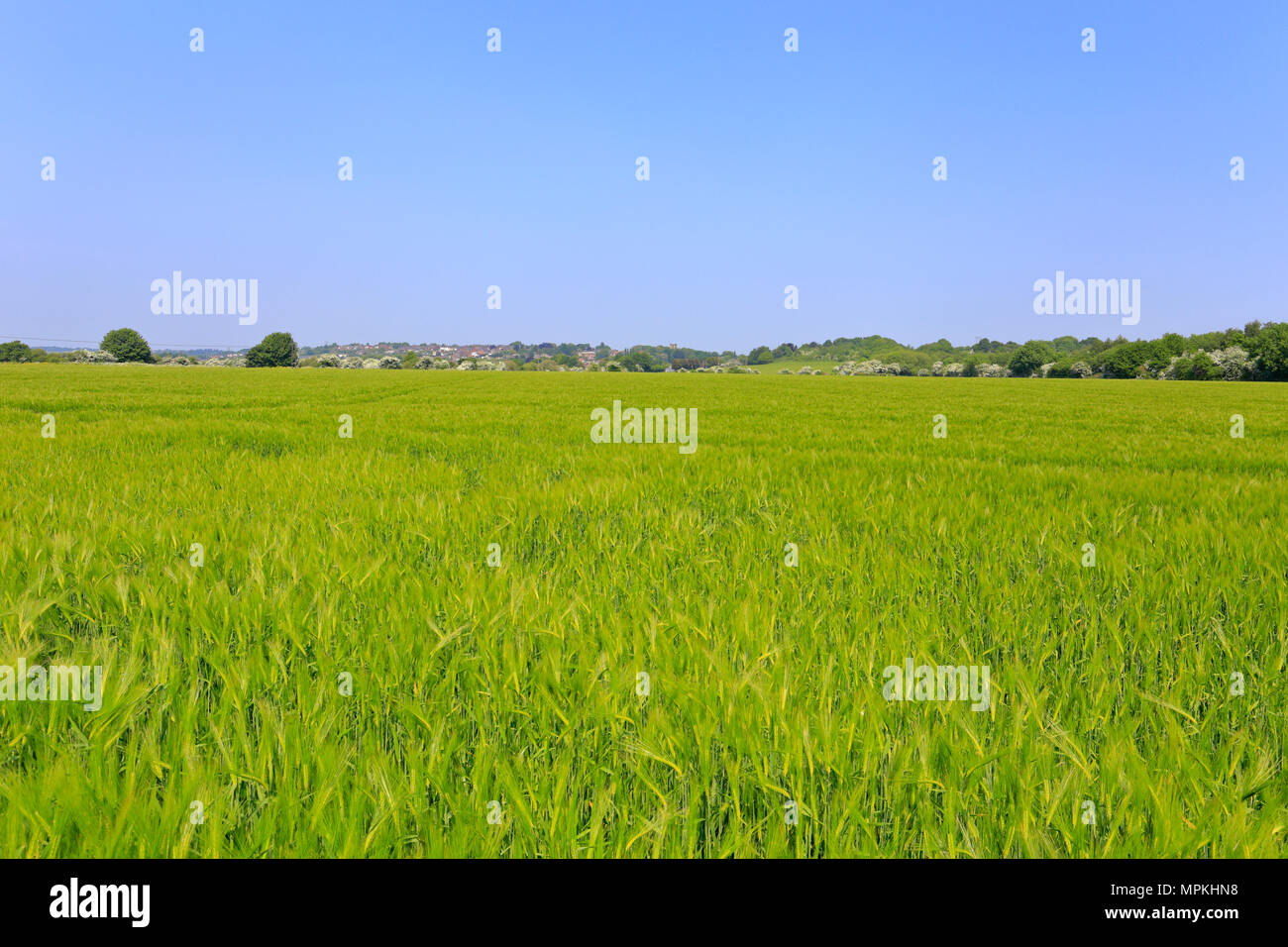 Darfield hires stock photography and images Alamy