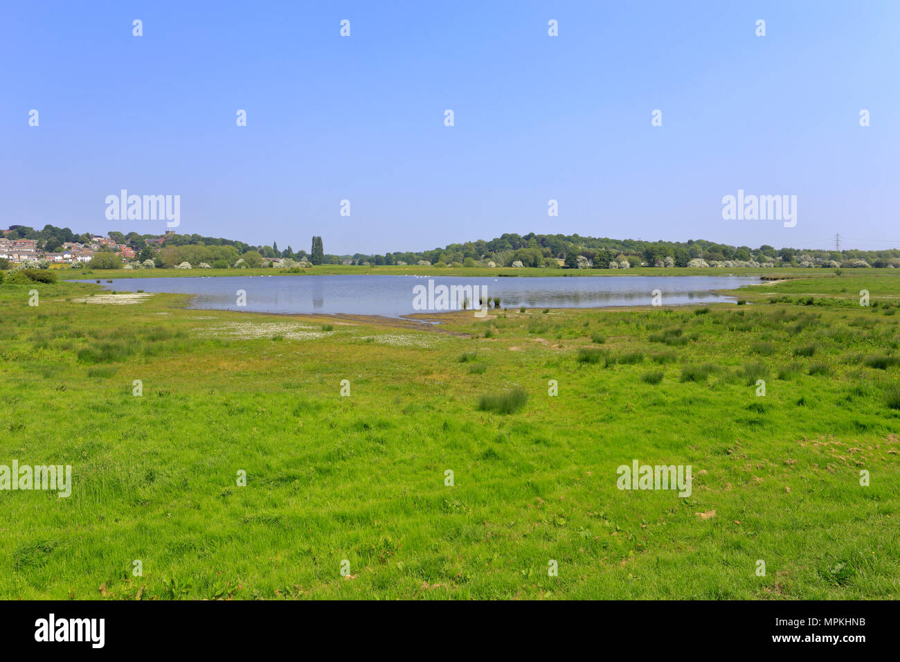 RSPB reserve Wombwell Ings towards Darfield village near Barnsley
