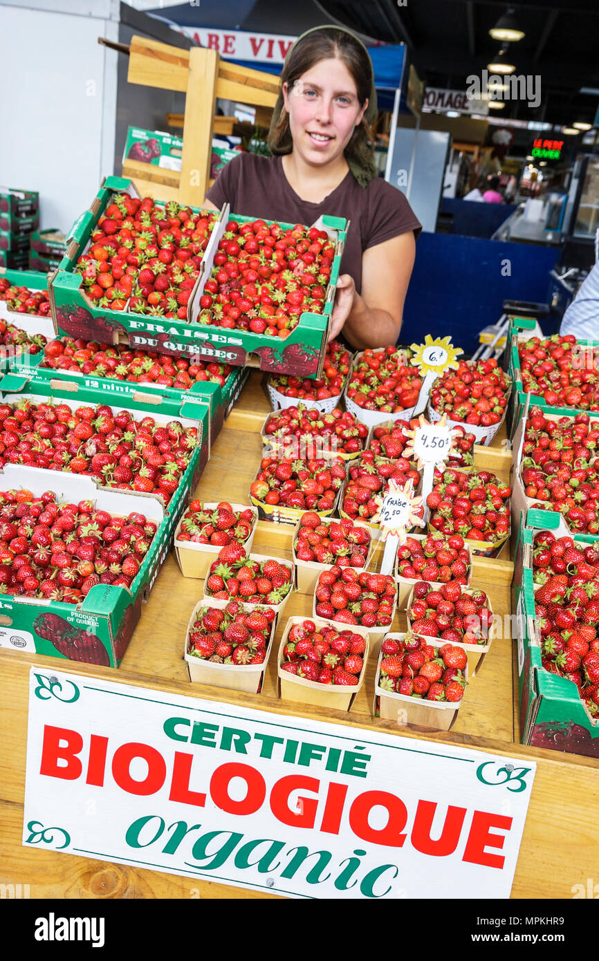 Montreal Canada,Quebec Province,Little Italy,Avenue Casgrain,Jean Talon Public Market,organic strawberries,woman female women,vendor vendors stall sta Stock Photo