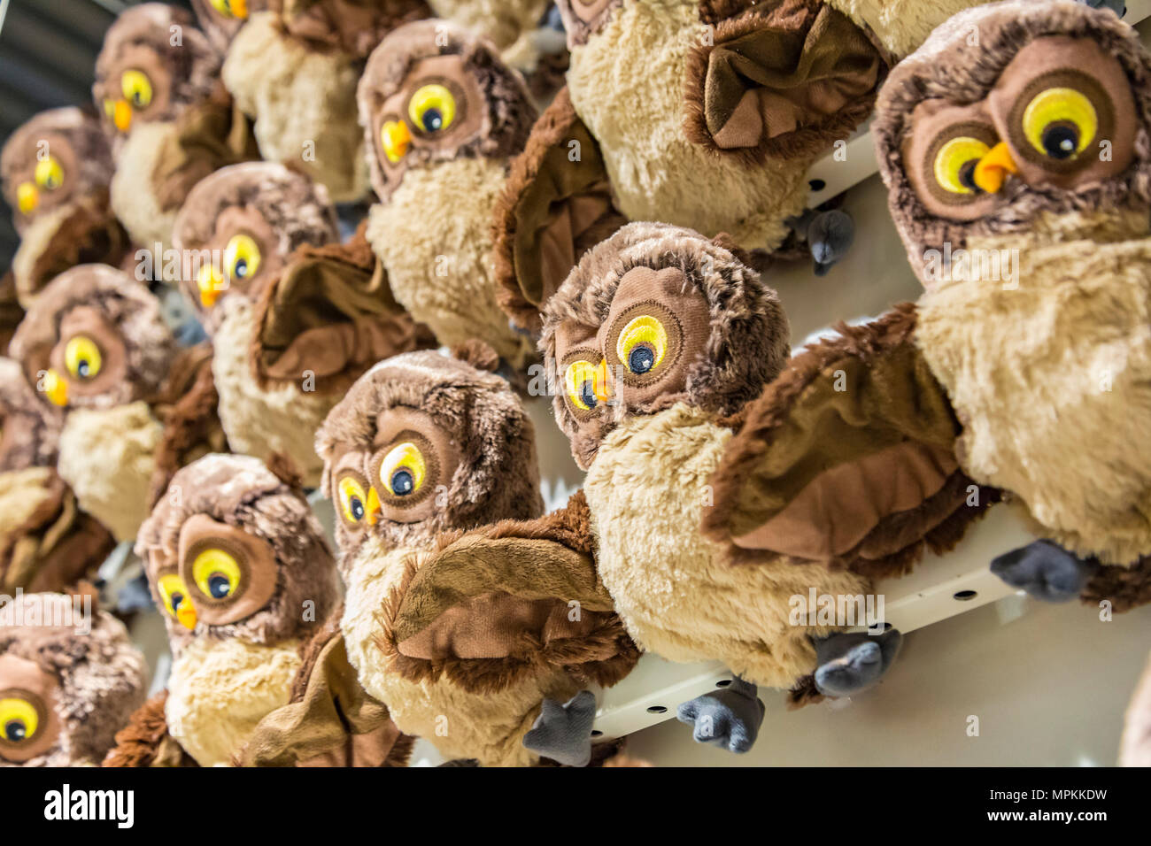 Toy stuffed owls create pattern on wall inside an Ikea store in the US Stock Photo