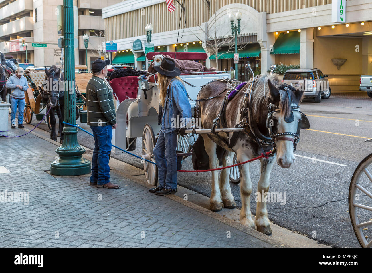 Carriage drivers visit while waiting for customers in downtown Memphis, Tennessee Stock Photo