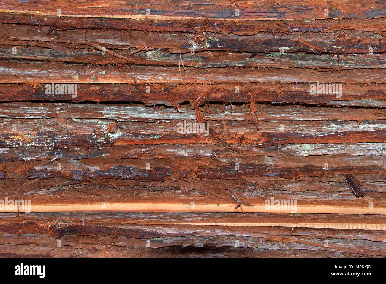Layers of wood bark freshly cut from logs stacked. Discarded during