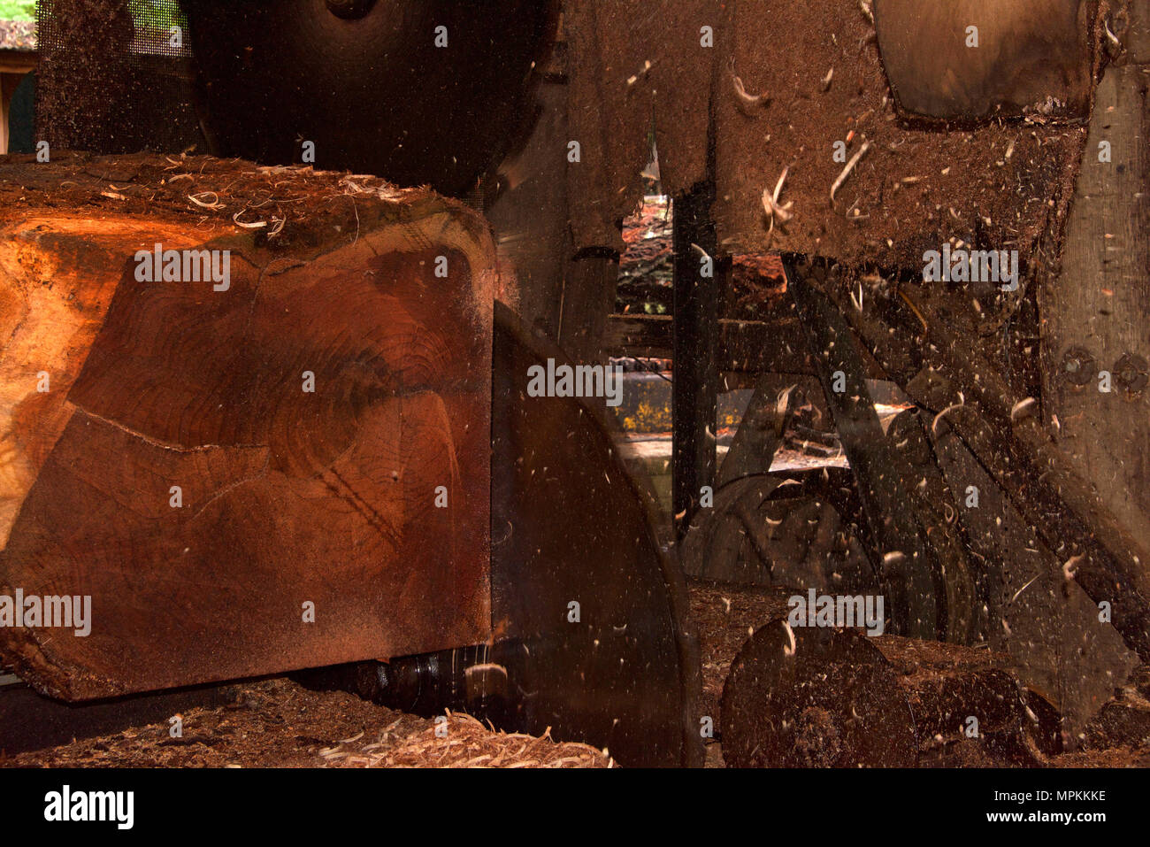 Blade in saw mill cutting bark layer off log during lumber milling
