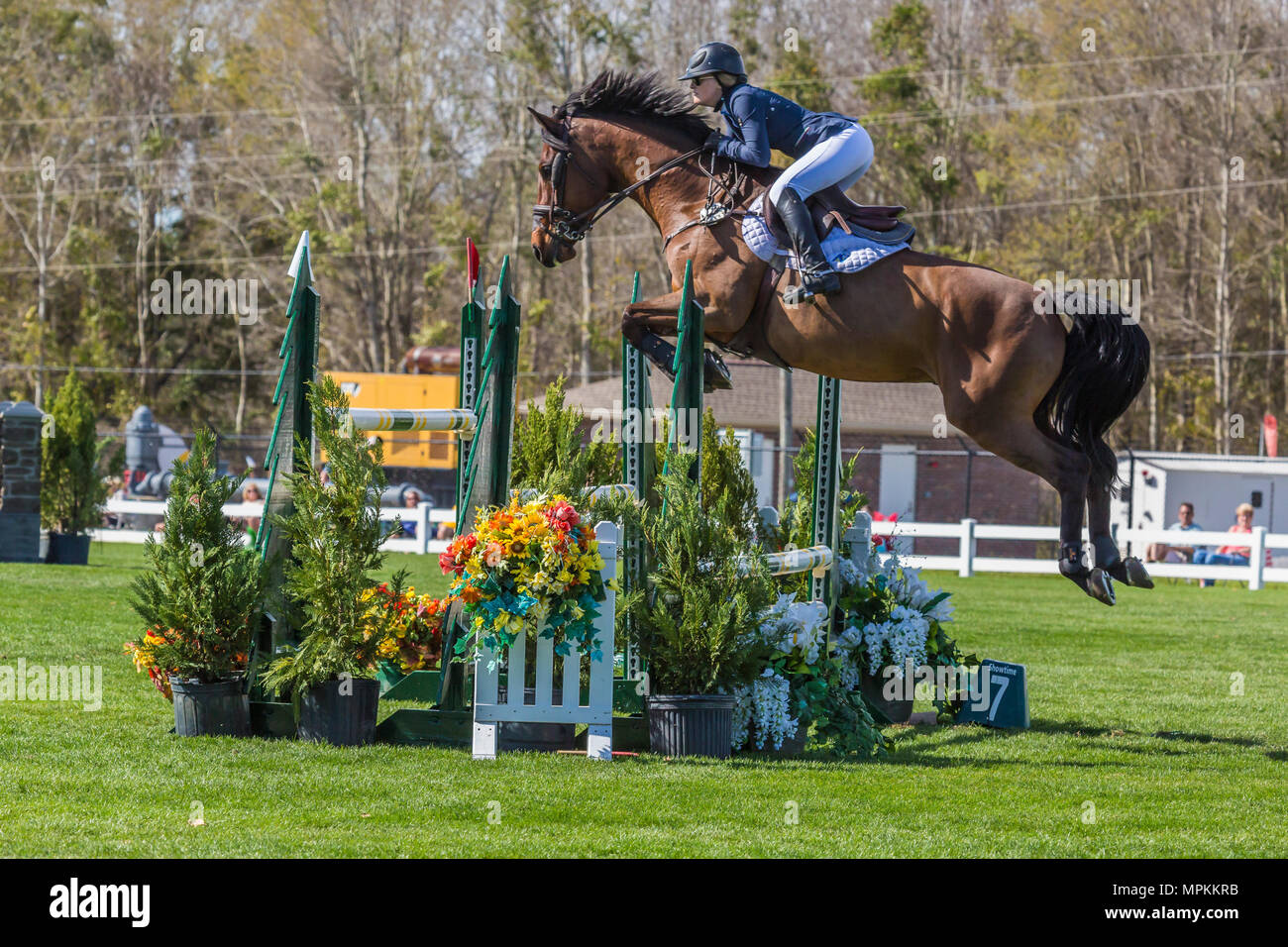 Show horses jumping in the Gulf Coast Winter Classic at the Harrison County Equestrian Center in Gulfport, Mississippi Stock Photo