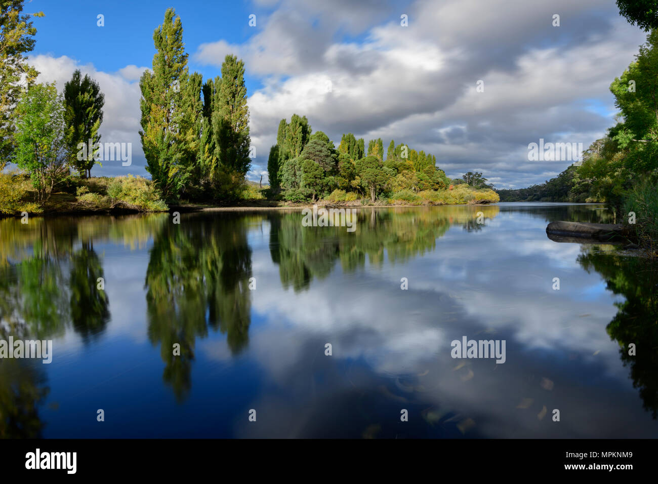 Australia; Australian, Tasmania; Central Highlands; Derwent River Stock