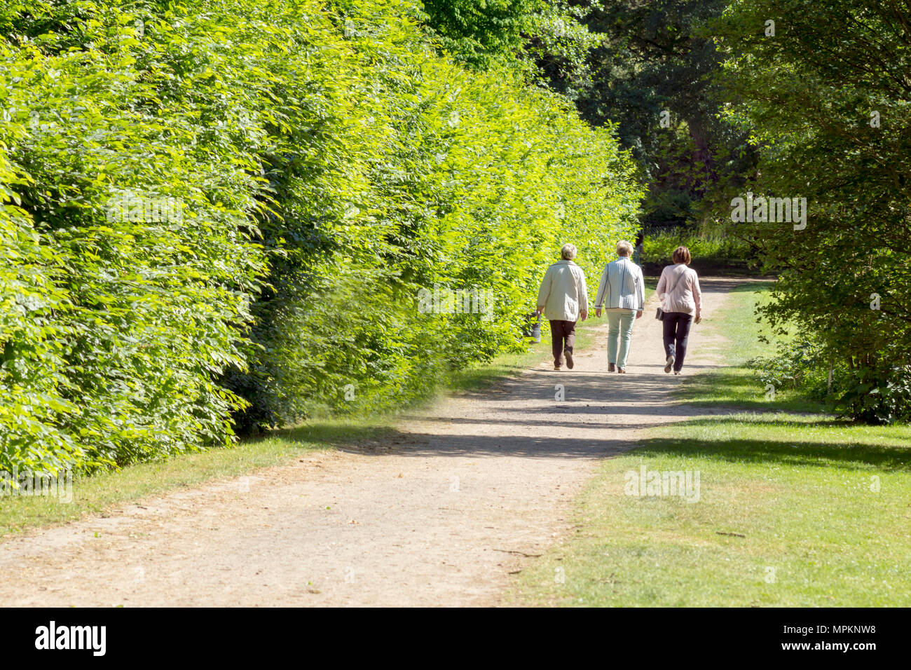 Three seniors go for a walk in the spa park, spring Stock Photo