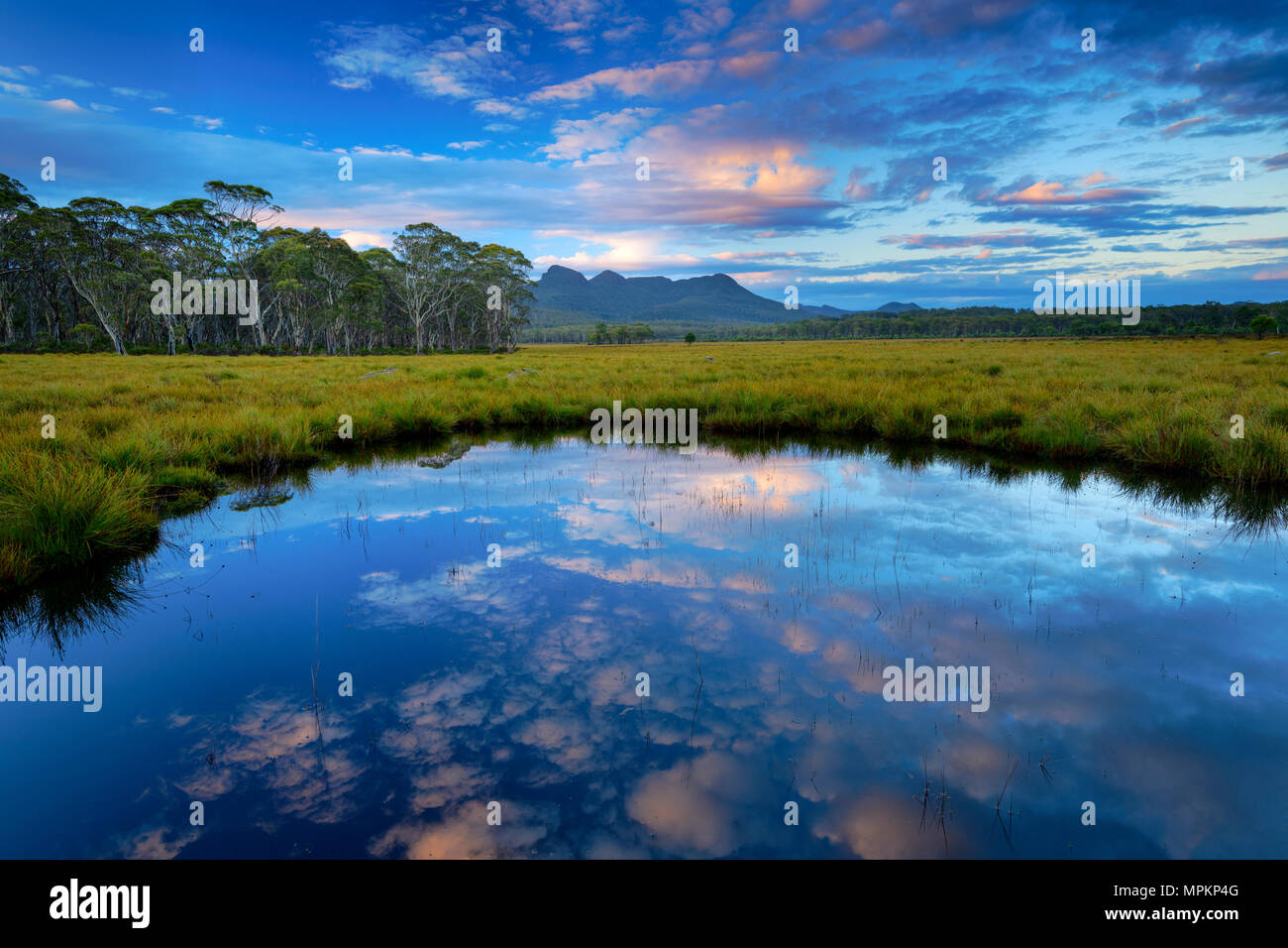 Australia; Australian, Tasmania; Franklin-Gordon Wild Rivers National ...
