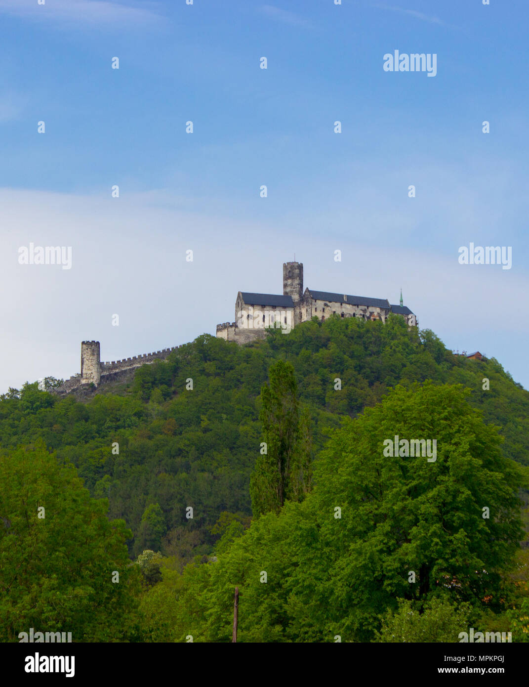 Panoramic view of Bezdez castle in the Czech Republic. In the foreground there are trees, in the background is a hill with castle and there are a whit Stock Photo