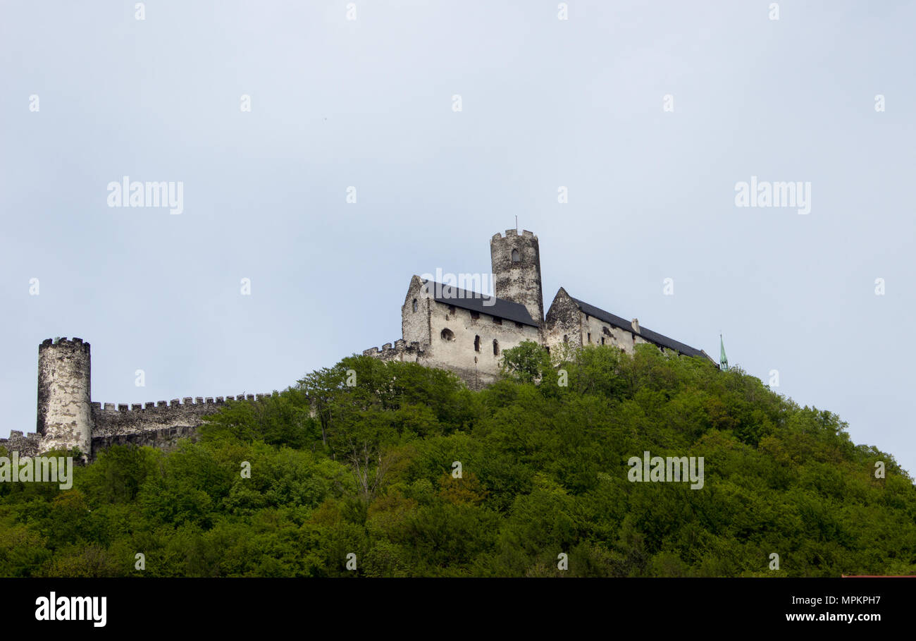 Panoramic view of Bezdez castle in the Czech Republic. In the foreground there are trees, in the background is a hill with castle and there are a whit Stock Photo