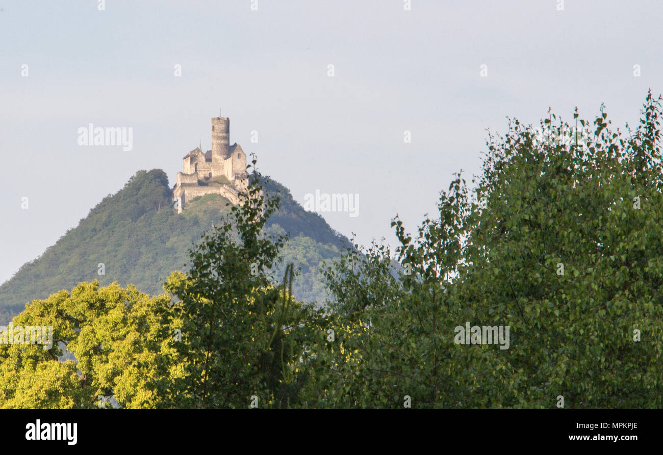 Panoramic view of Bezdez castle in the Czech Republic. In the foreground there are trees, in the background is a hill with castle. Stock Photo