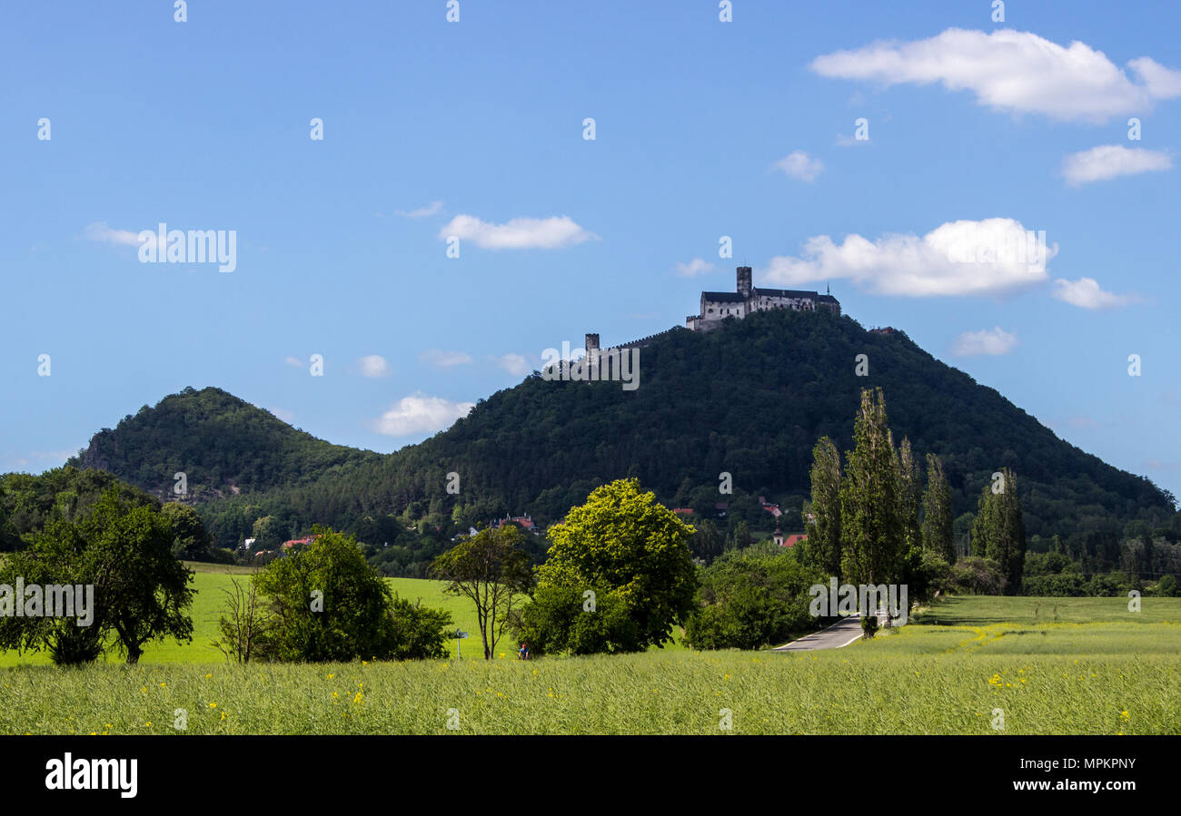 Panoramic view of Bezdez castle in the Czech Republic. In the foreground there are trees, in the background is a hill with castle and there are a whit Stock Photo