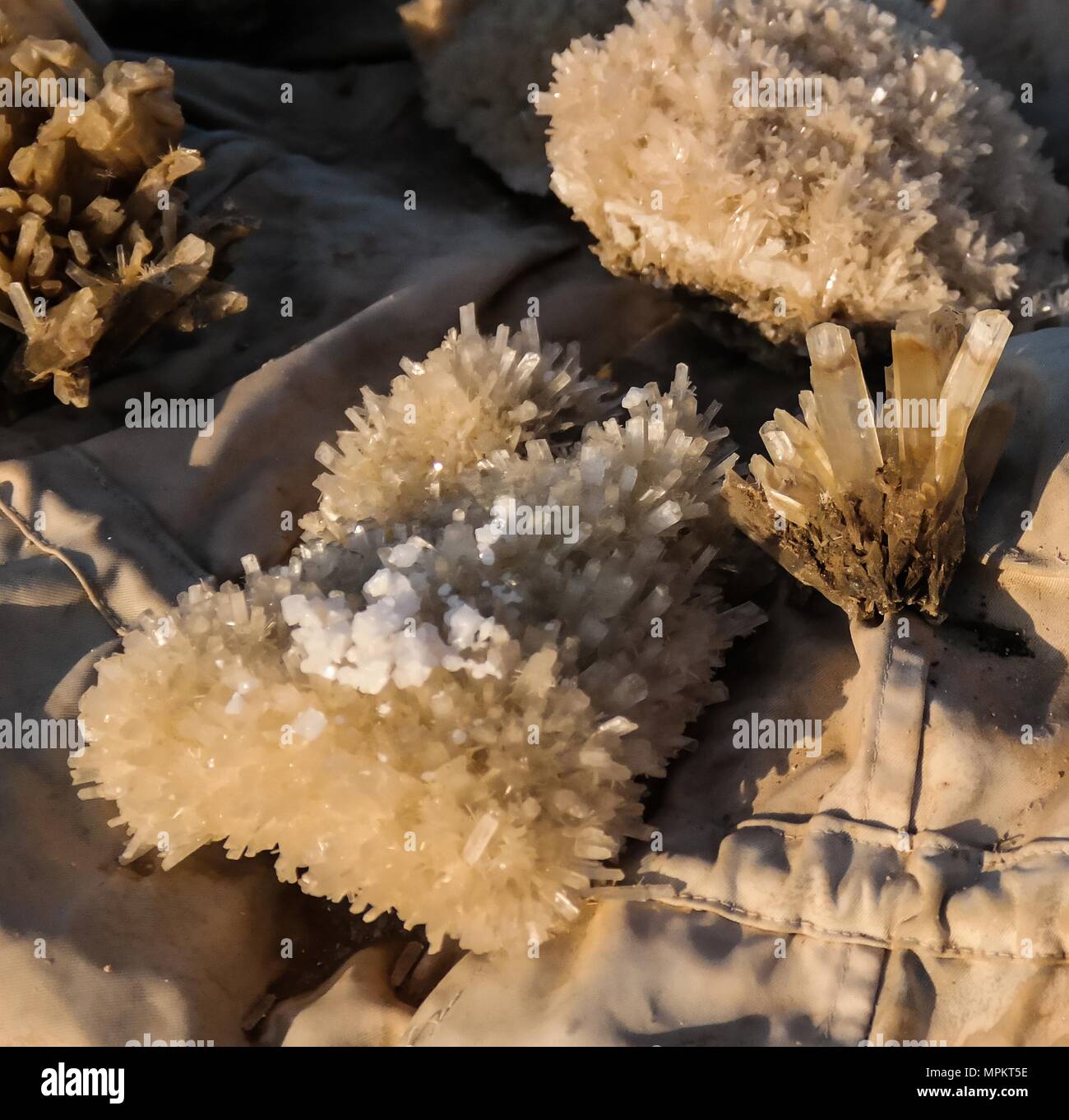 Salt cristal from the Assal lake, Djibouti Stock Photo