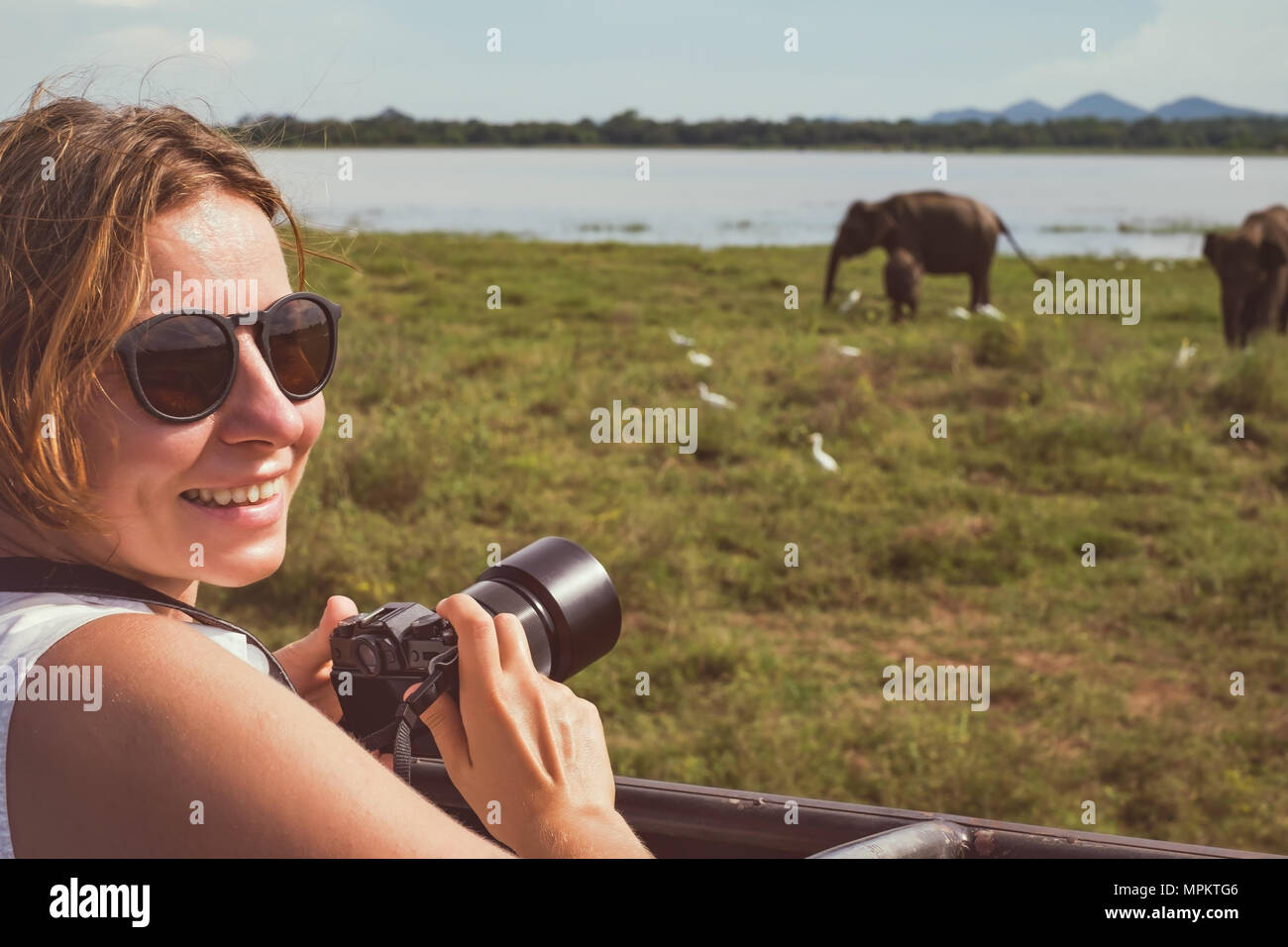 Woman on asian wildlife safari. Lady taking a photo of herd of elephants with her camera. Stock Photo