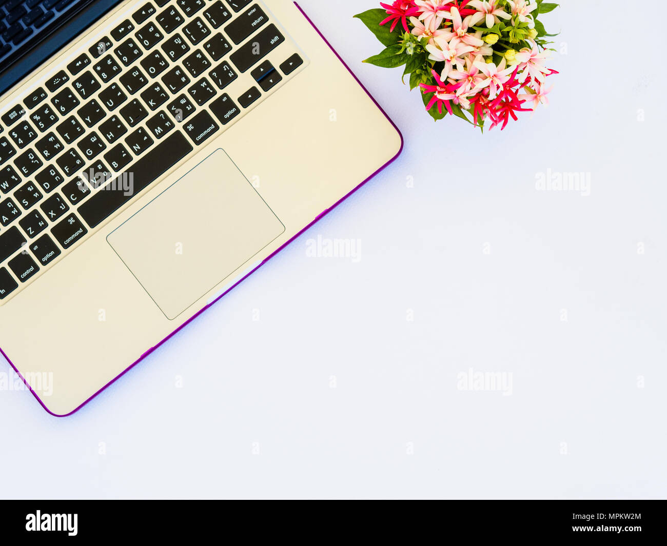 Flat Lay Top View Office Table Desk Frame Feminine Desk