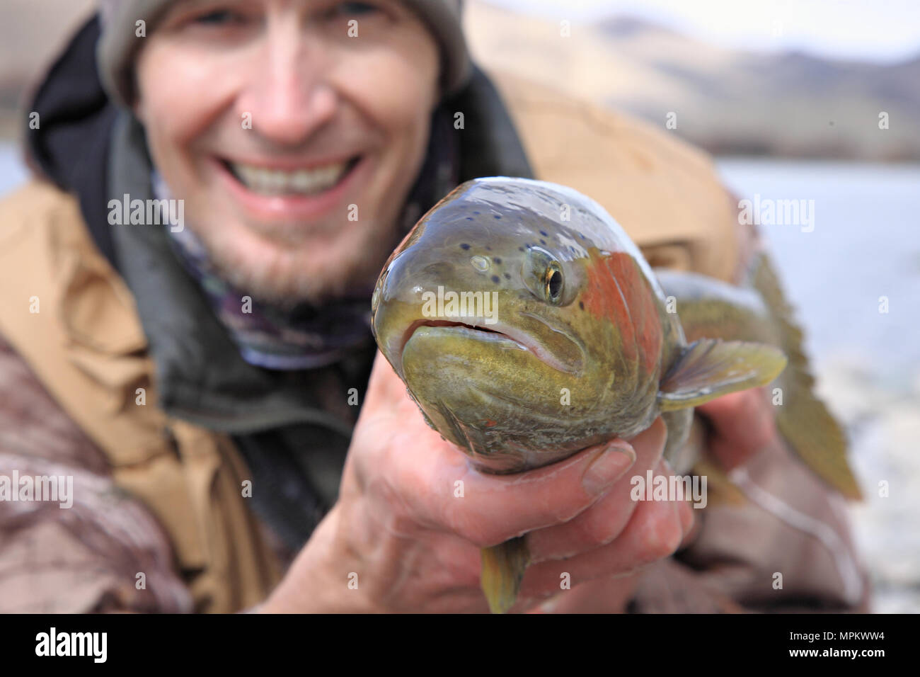 Trout face closeup hi-res stock photography and images - Alamy