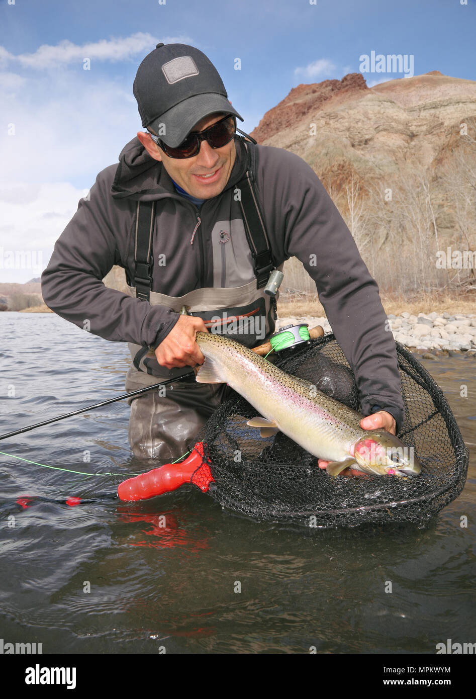 successful fisherman holding steelhead trout at salmon river in Idaho Stock Photo