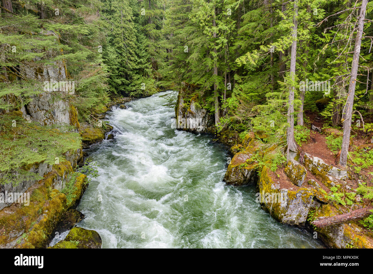Cheakamus River British Columbia Hi res Stock Photography And Images Cheakamus River British Columbia Hi res Stock Photography And Images
