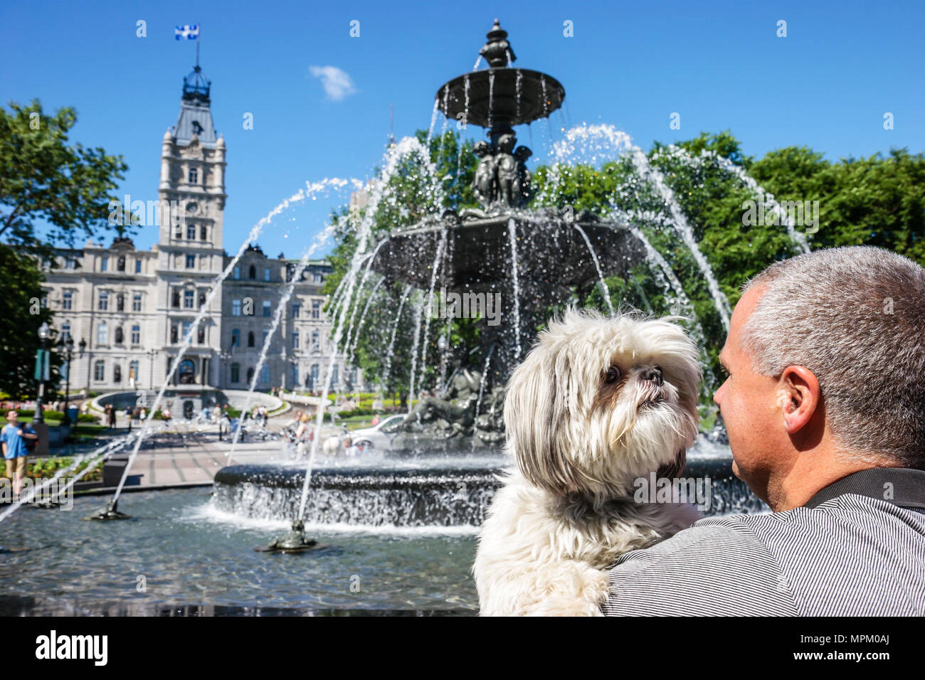 Quebec Canada,Avenue Honore Mercier,public fountain,Parliament building,Hotel de Parlement,dog,pet,canine,animal,water,Canada070712031 Stock Photo