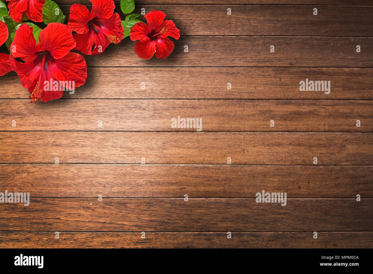 Red Hibiscus Flower On Caulked Mahogany Wood Background Texture