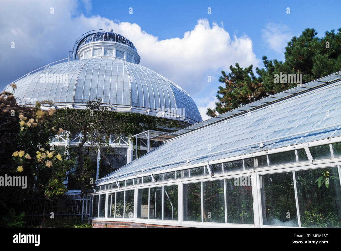 Toronto Canada,Allan Gardens Conservatory,botanical garden,vegetation,greenhouse,plants,shrubs