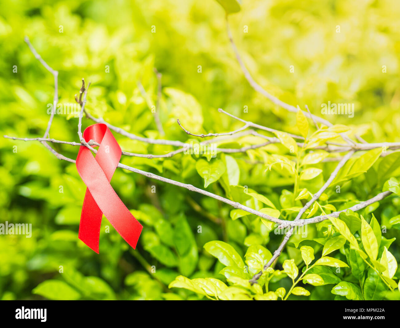 World AIDS day concept. Red ribbon hang on tree leaves bokeh background ...