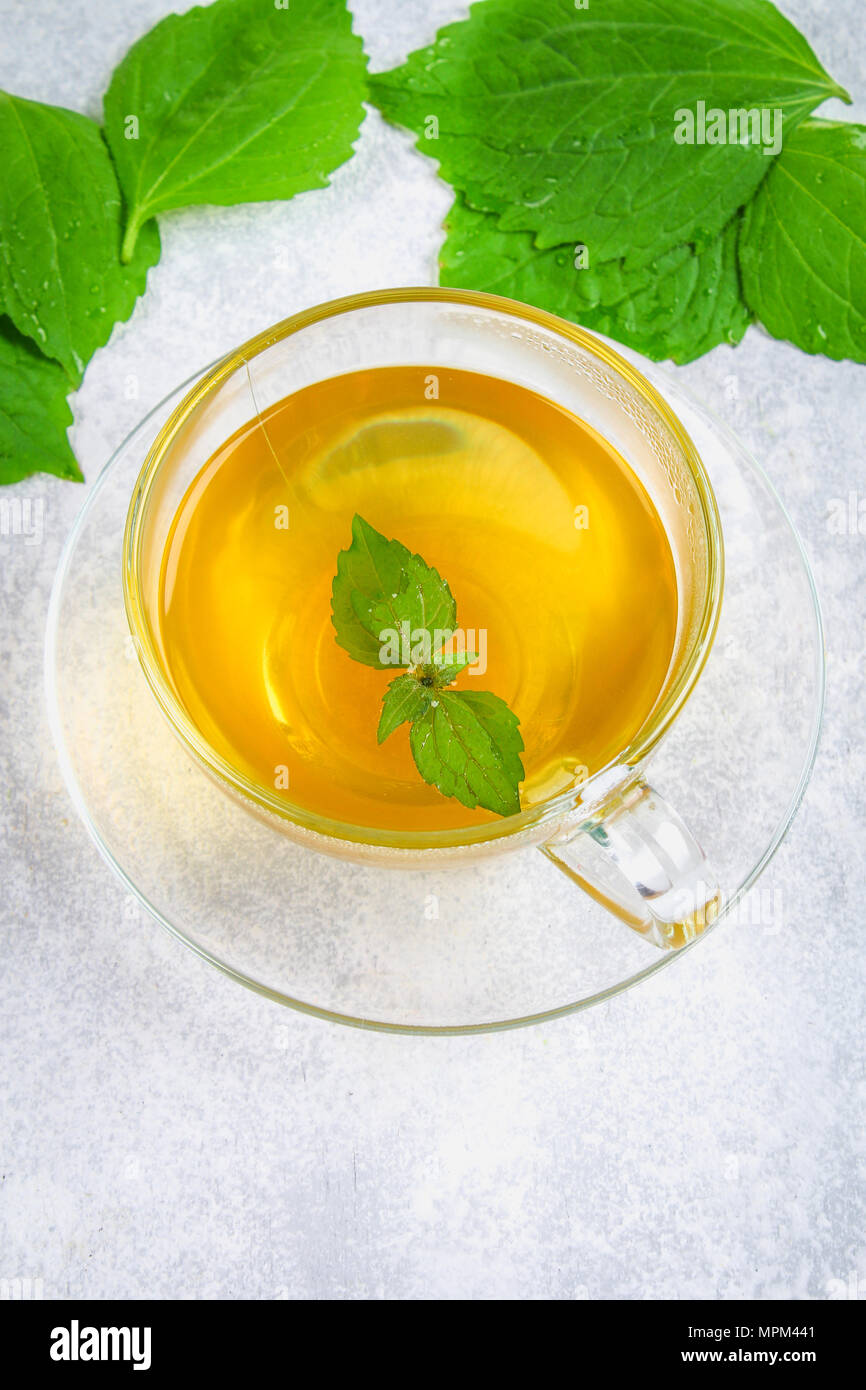 Leaves of fresh green nettle and a clear glass cup of herbal nettle tea on a gray concrete table Stock Photo