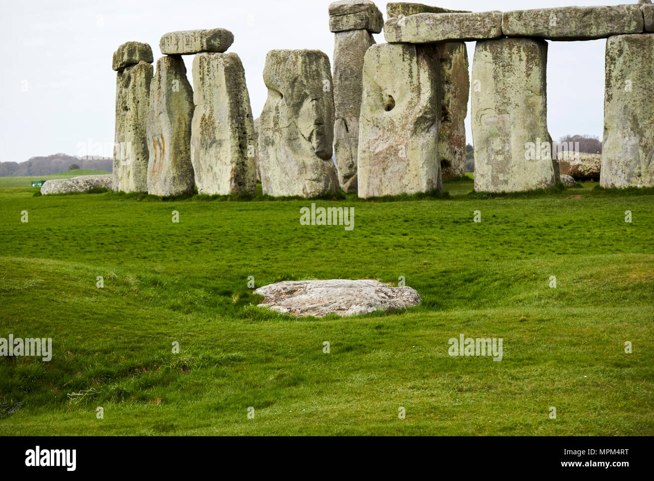 the slaughter stone in front of view of circle of sarsen stones with