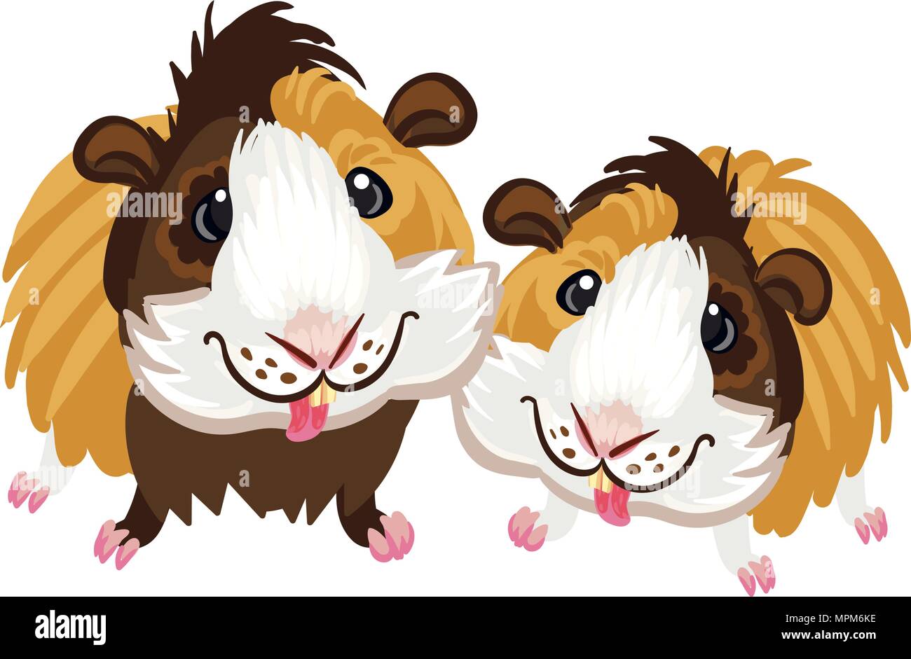 Guinea pig little cute homemade cartoon fun art piggy clipart Stock