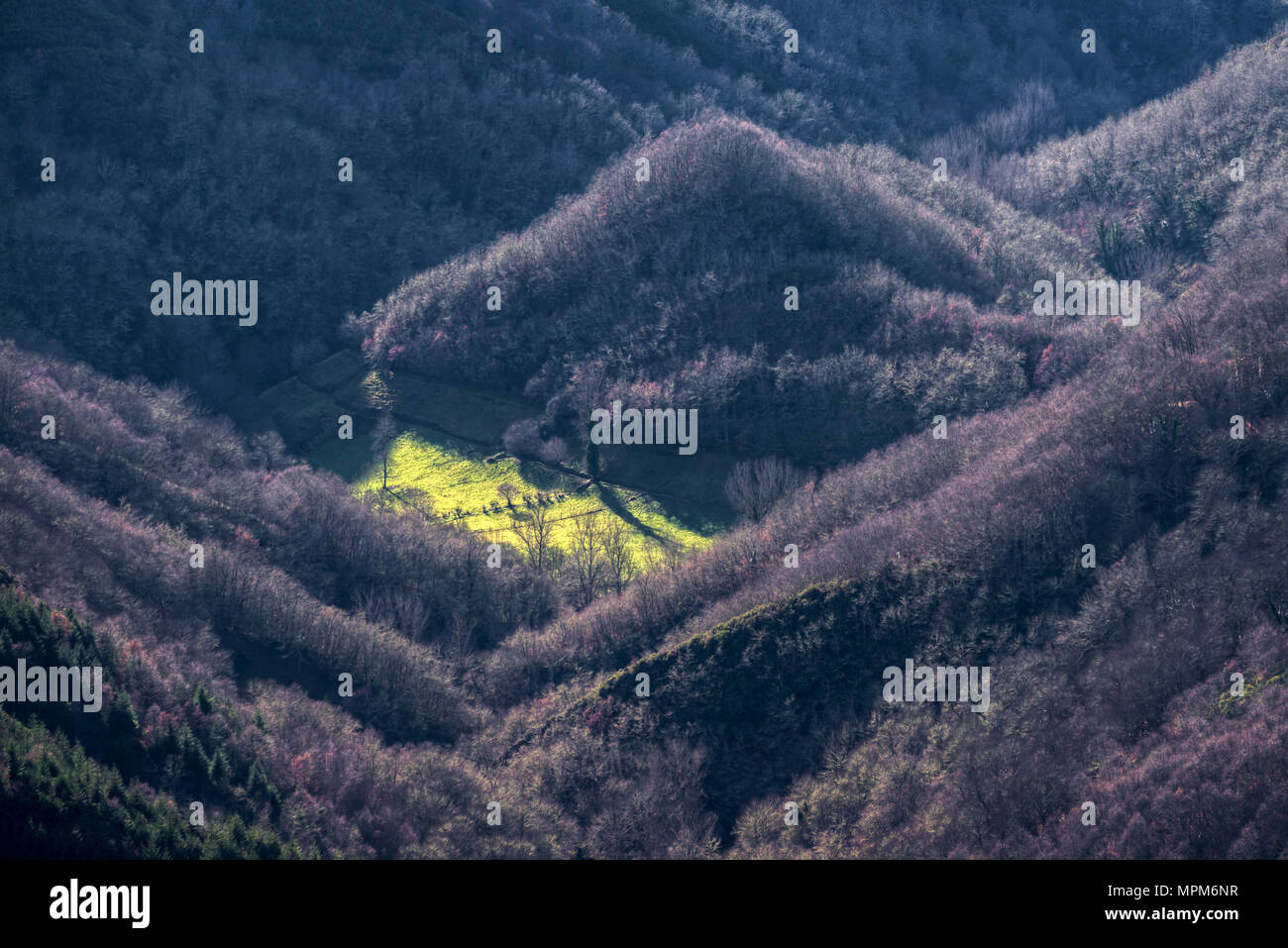 Forest hill and green meadows in Cervantes, Lugo, Galicia Stock Photo