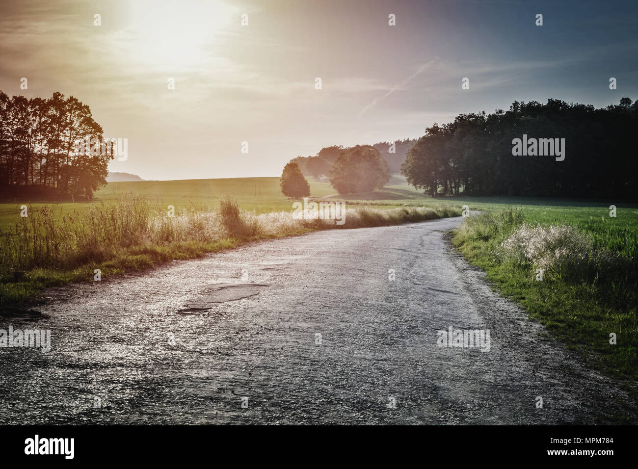 Green field and road in summer sunset Stock Photo - Alamy