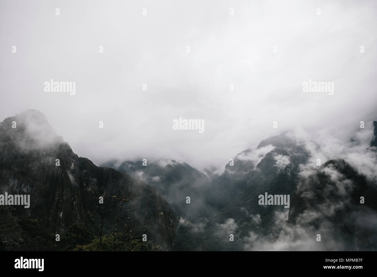 Detail of the wilderness around Machu Picchu Inca citadel in Peru Stock ...