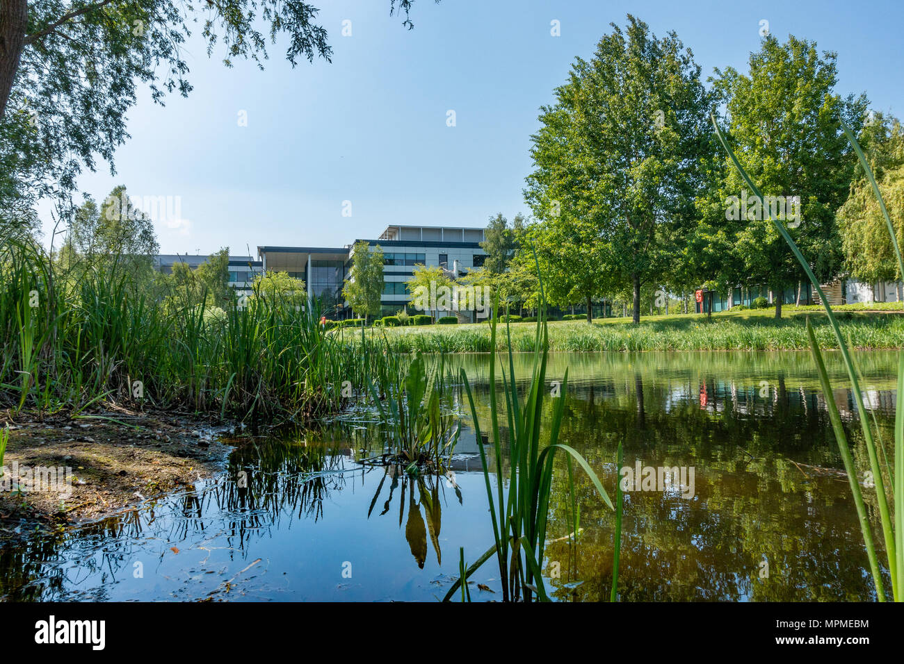A lake in a business park in Reading, Berkshire, UK Stock Photo