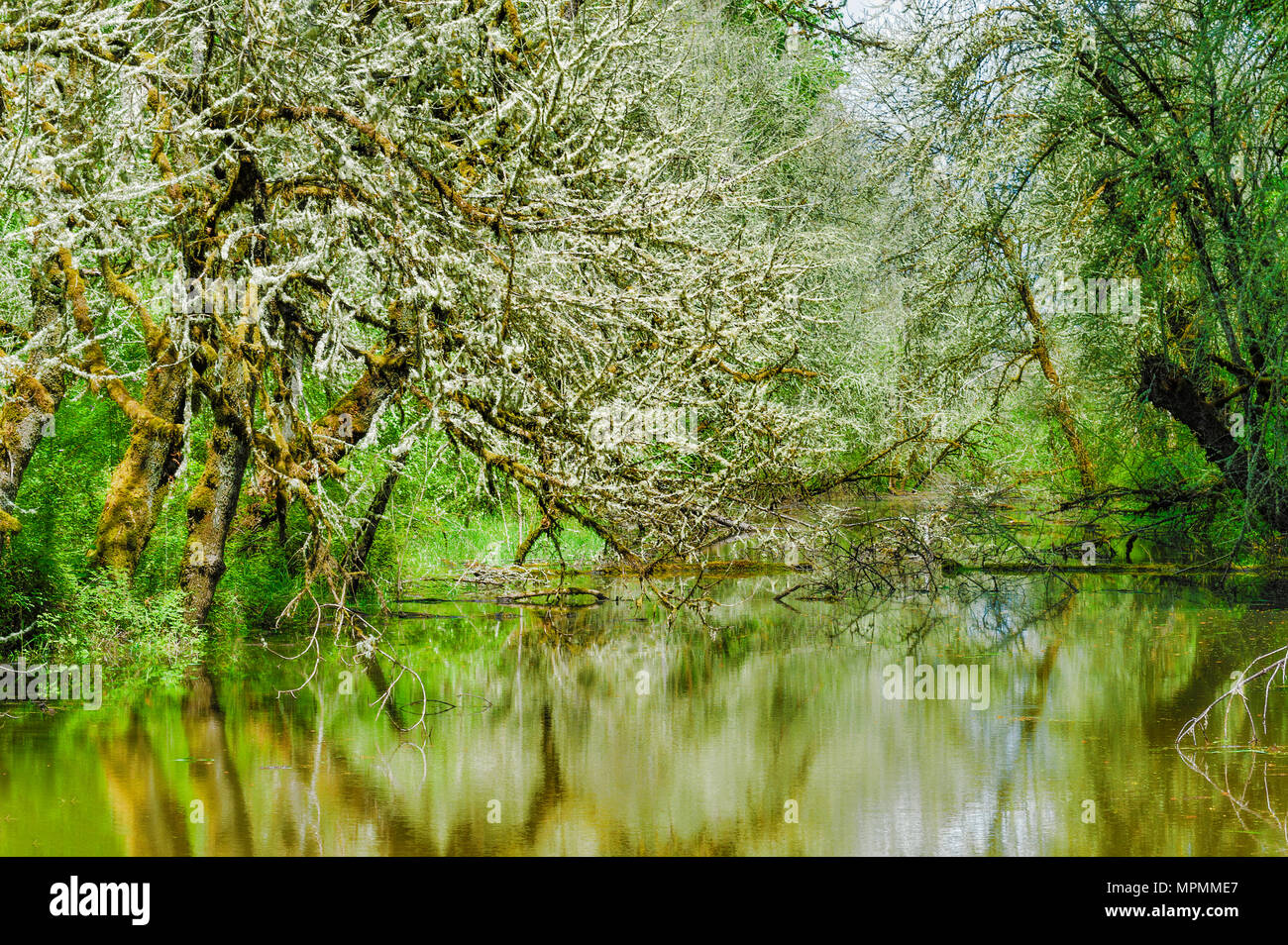 Reflecting waters of standing high waters from recent spring rains in