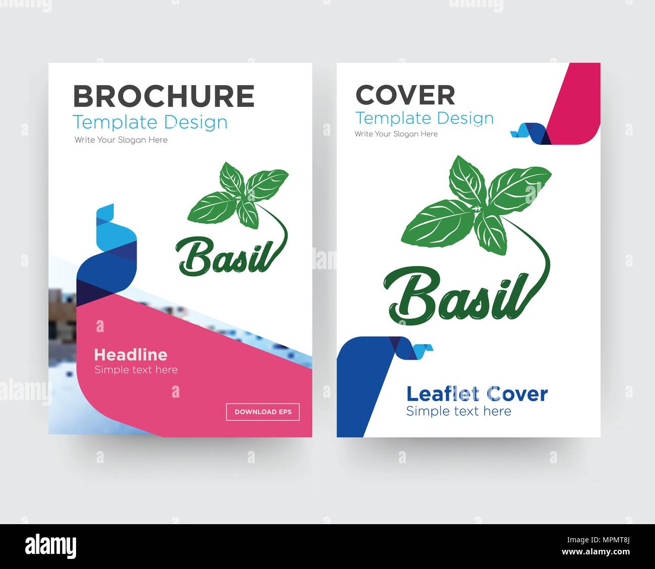 basil brochure flyer design template with abstract photo