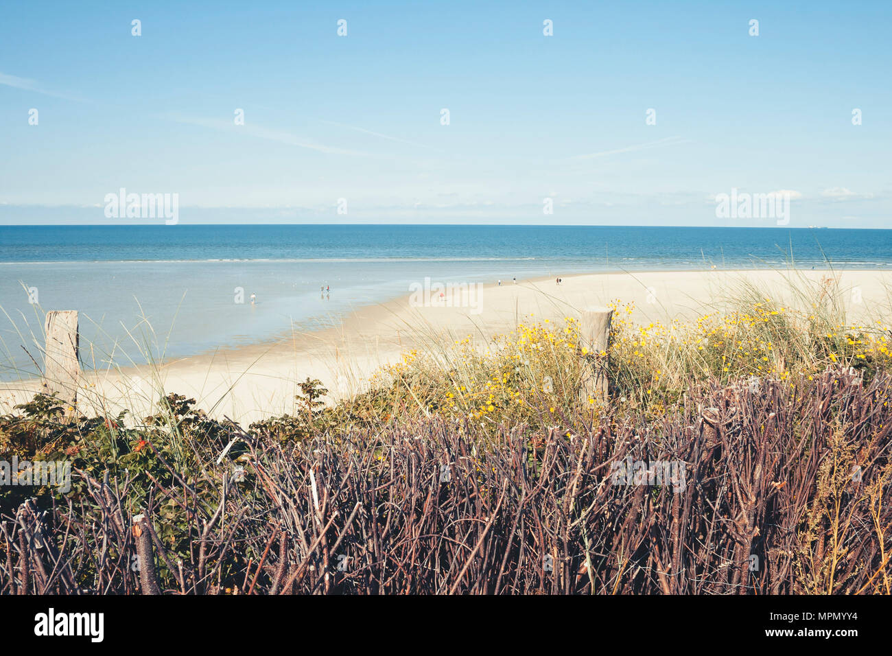 Germany, Spiekeroog, dunes and beach Stock Photo