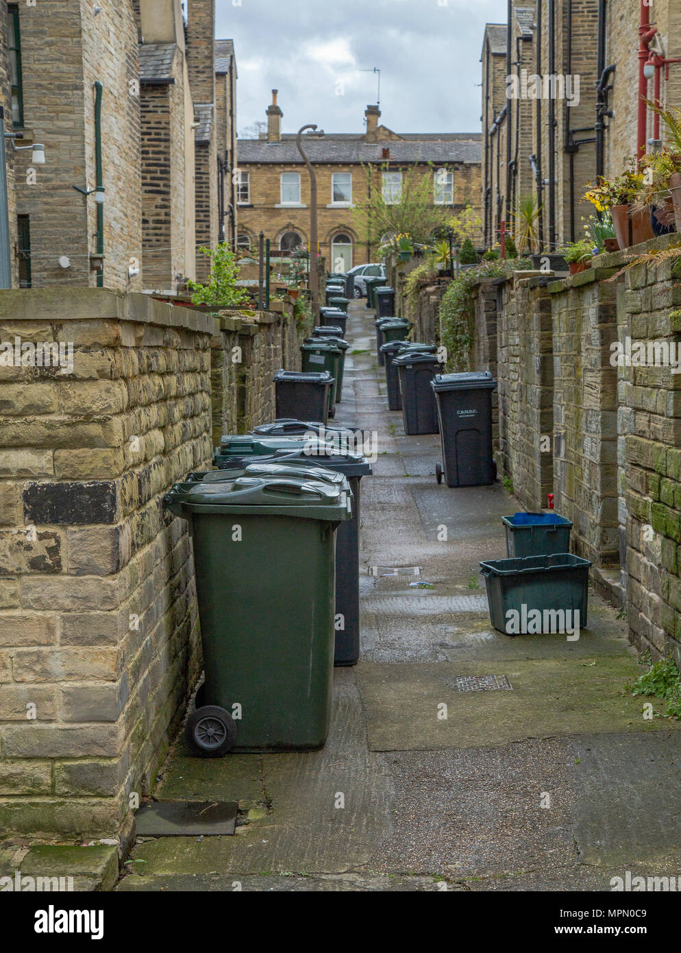 Rows of green wheelie bins line the alleyways between terrace houses in