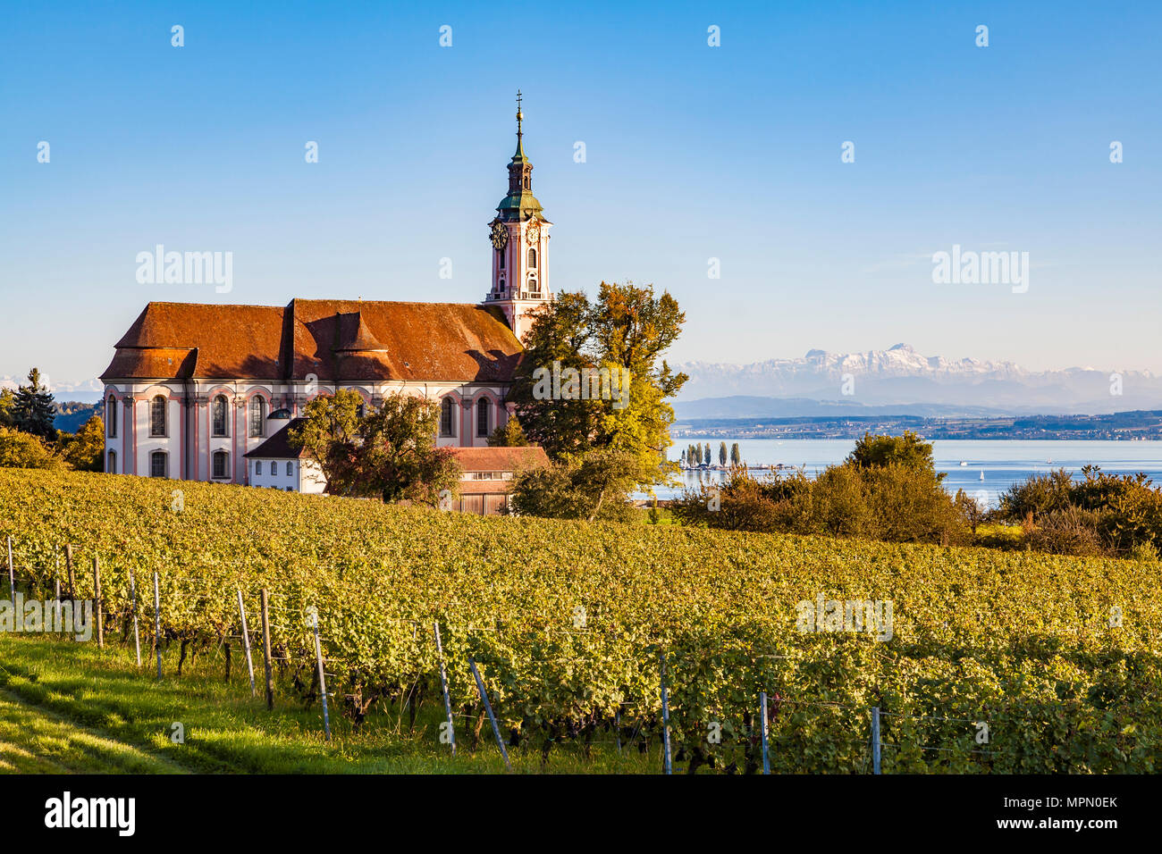 Germany, Baden-Wuerttemberg, Lake Constance, Birnau Basilica and vineyard Stock Photo